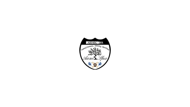 Logo de AIESEC SFAX